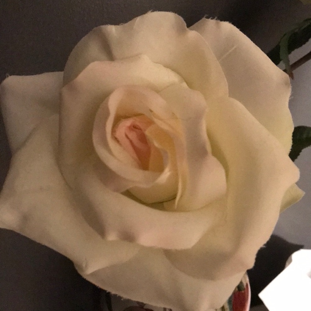 Meet your Posher, Sofia